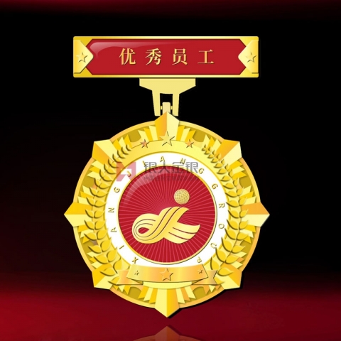 湖南長沙湘江集團優(yōu)秀員工獎?wù)录o念章